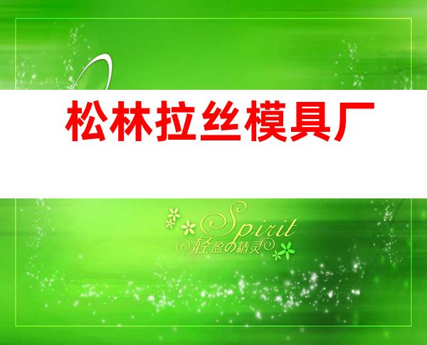 松林拉丝模具厂