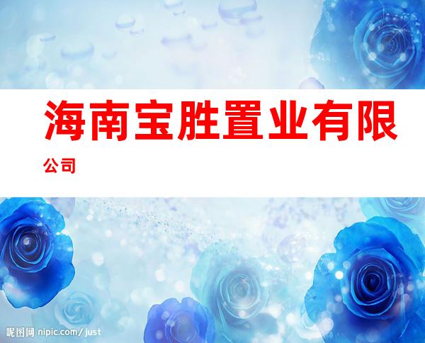 海南宝胜置业有限公司