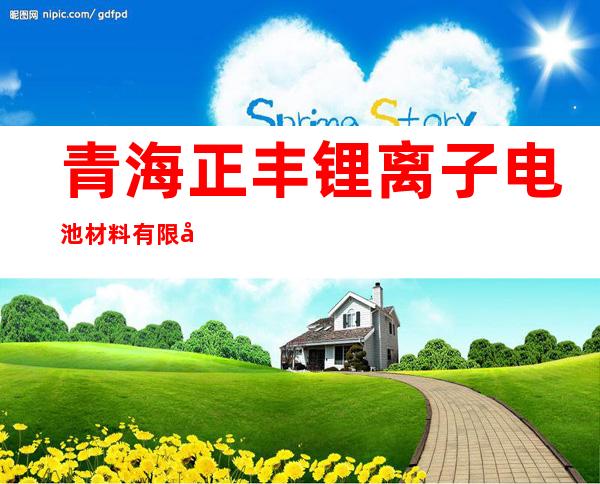 青海正丰锂离子电池材料有限公司
